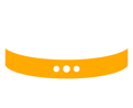 Database