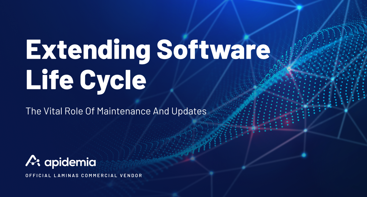 Extending Software Life Cycle: the vital role of maintenance and updates
